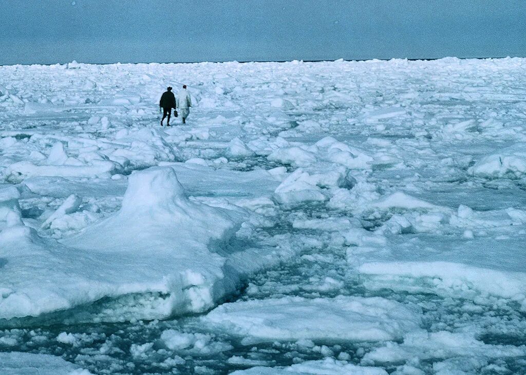 Объясните почему прогнозирование ледовитости карского моря. Торосы Карское море. Баренцево море льды. Карское море зимой. Ледовитость Карского моря лед.