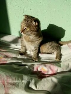 Настя устала