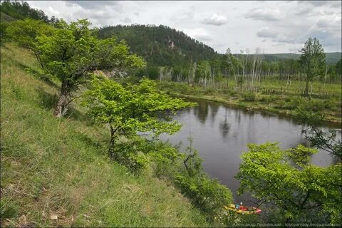Газимур забайкальский край