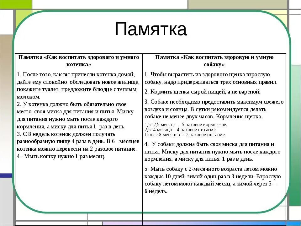 Как воспитать кошку правильно. Памятка о котах. Как нужно воспитывать кота. Как надо воспитывать котят.