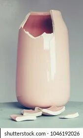 I broke the vase