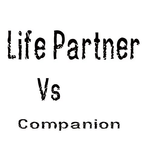 Partner means