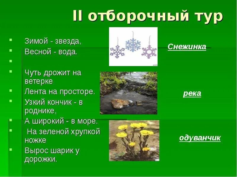 Звездное небо в лесу. Весеннее солнце. День зимнего солнцестояния. Зимой звезда весной. Солнечный зимний день.