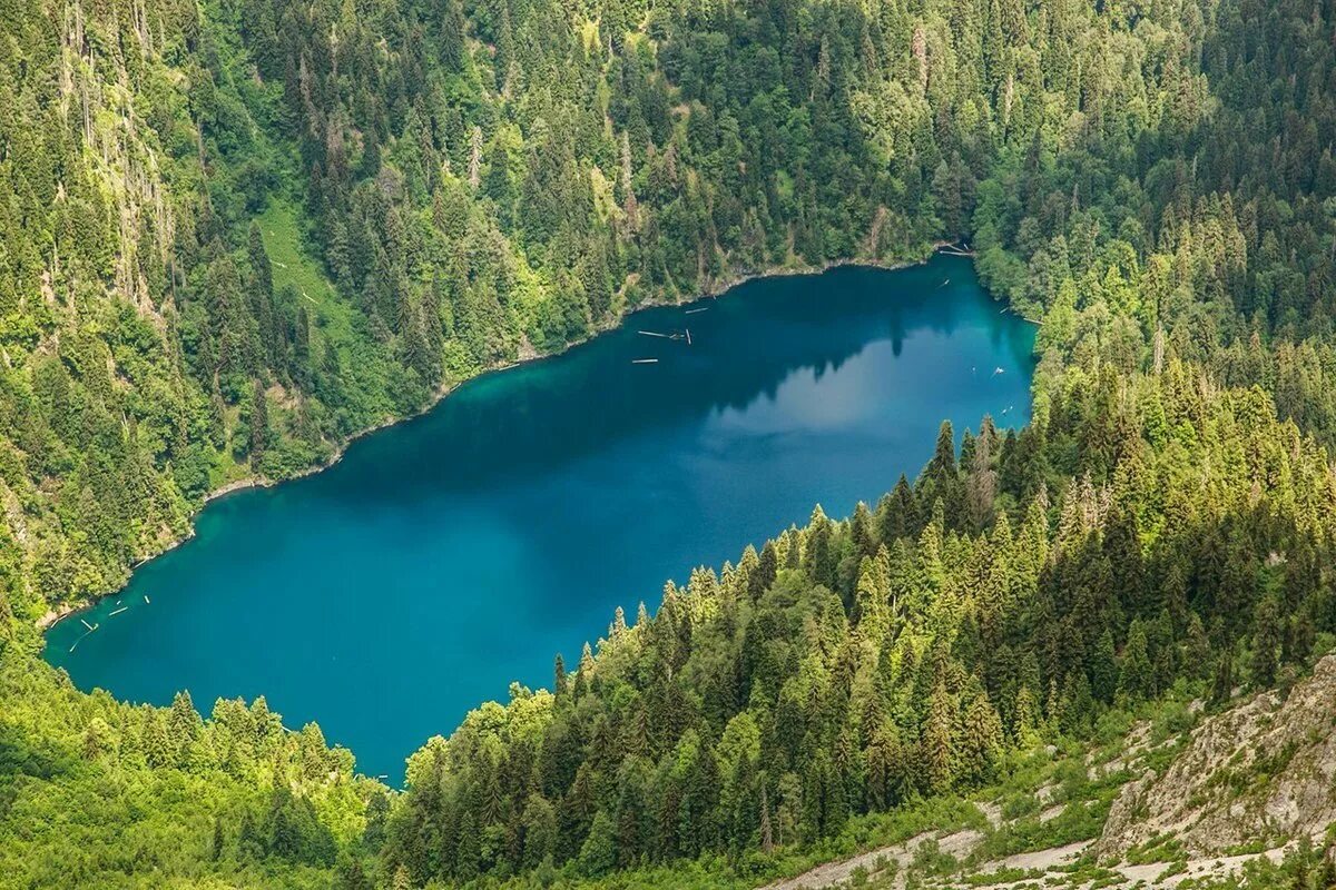 В каком городе находится озеро рица. Малая рица абхазия. озеро большая рица абхазия. озеро рица малая рица. озеро рица абхазия вид сверху.
