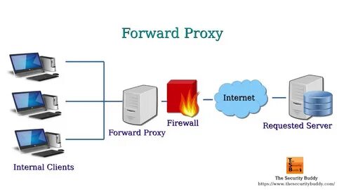 Find proxies