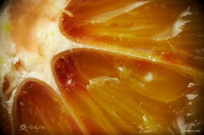 Три мандарина. Апельсины 1 кг. Apelsin 1:1. Апельсин под. Апельсин мандарин грейпфрут.