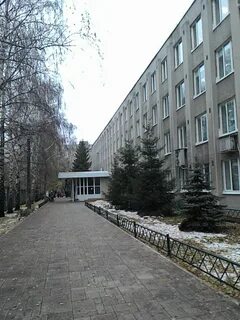 Сам лит