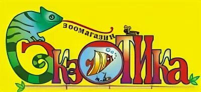 В зоомагазине 30 рыбок