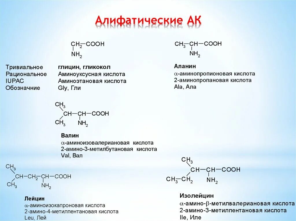 Амины группы б. L 2 аминопропановая кислота. Аминопропановая кислота химические свойства. 2 Аминопропановая кислота химические свойства. Аланин название по ИЮПАК.