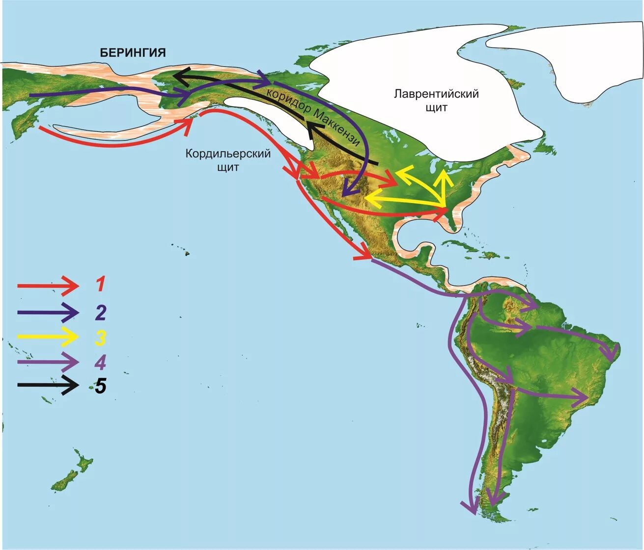 Экологические и демографические проблемы современности. Миграция земель. Перенаселение планеты. Миграция земель. Расселение первых людей из африки.