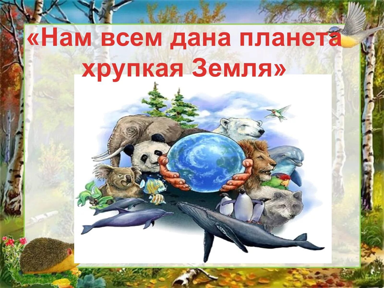 Хрупкая планета. Картинки эта хрупкая планета. Одна планета на всех. Картинки эта хрупкая планета. Хрупкая планета песня.