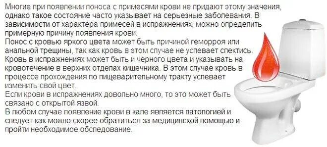 Почему часто хочется по маленькому
