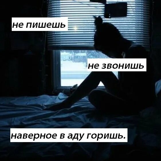 Смешные животные картинки с надписями. Хочется позвонить. Надеюсь что позвонишь. Прежде чем звонить мне за помощью. Прежде чем.
