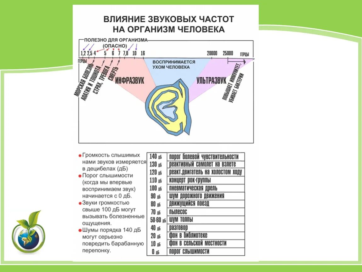 Частота человека как определить