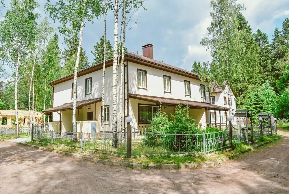 Туя солитер. Хвойная 22. Отель хвойный зеленогорск. Хвойники в вазонах. Снт сосны чеховский.