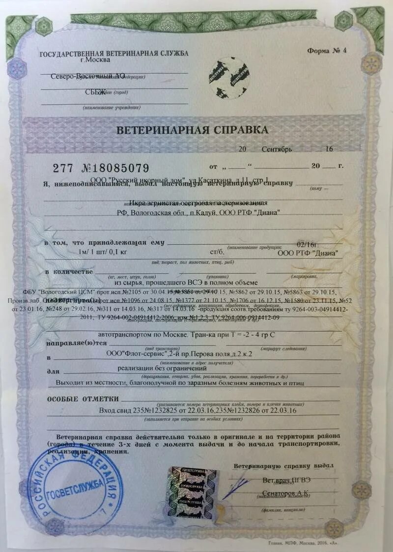 Номер 1 для животных