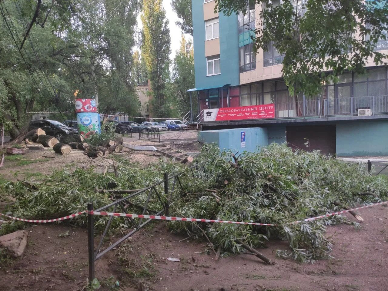 Почему нет света в воронеже сегодня. Столб упал Воронеж. Дерево упало на провода. В Воронеже упал столб на/левом берегу. Столб в воде в Воронеже.