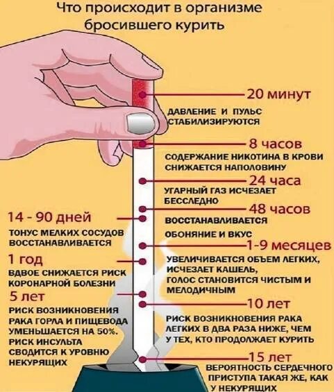 Правда ли что нужно. При бросании курить. Советы тем кто бросает курить. Как происходит курение.