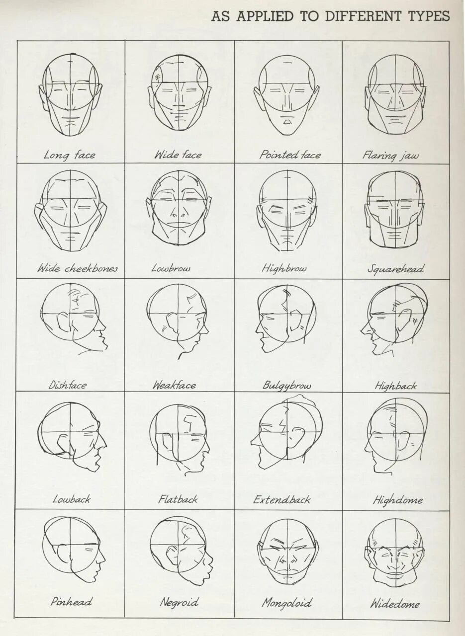 Лицо рисунок поэтапно. Метод Эндрю Лумиса рисование головы. Схема построения головы человека рисунок. Построение лица человека пропорции схема. Пропорции лица человека для рисования для начинающих карандашом.