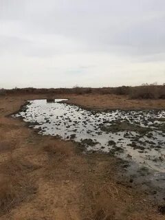 Поселок ачинеры калмыкия