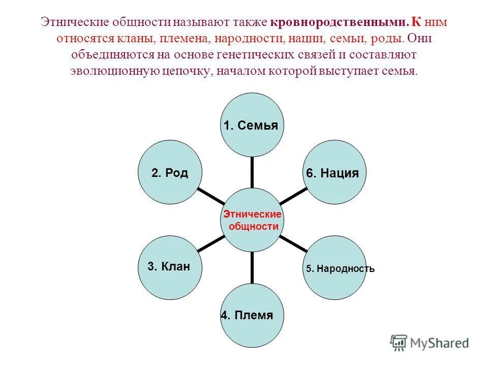 К этническим общностям относятся тест. Род этнос. К этническим общностям относятся тест. Племя народность нация. К этническим общностям относятся тест.