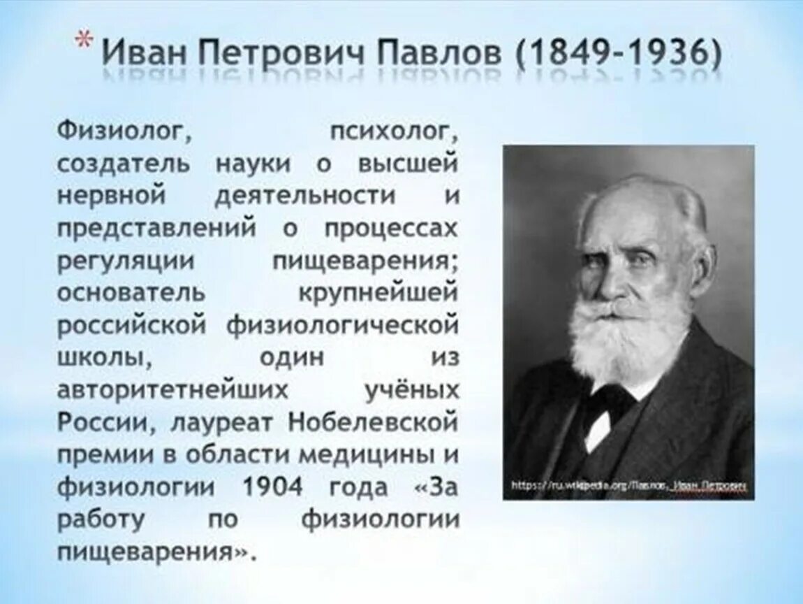 Работа физиологов. Теория Ивана Петровича Павлова.