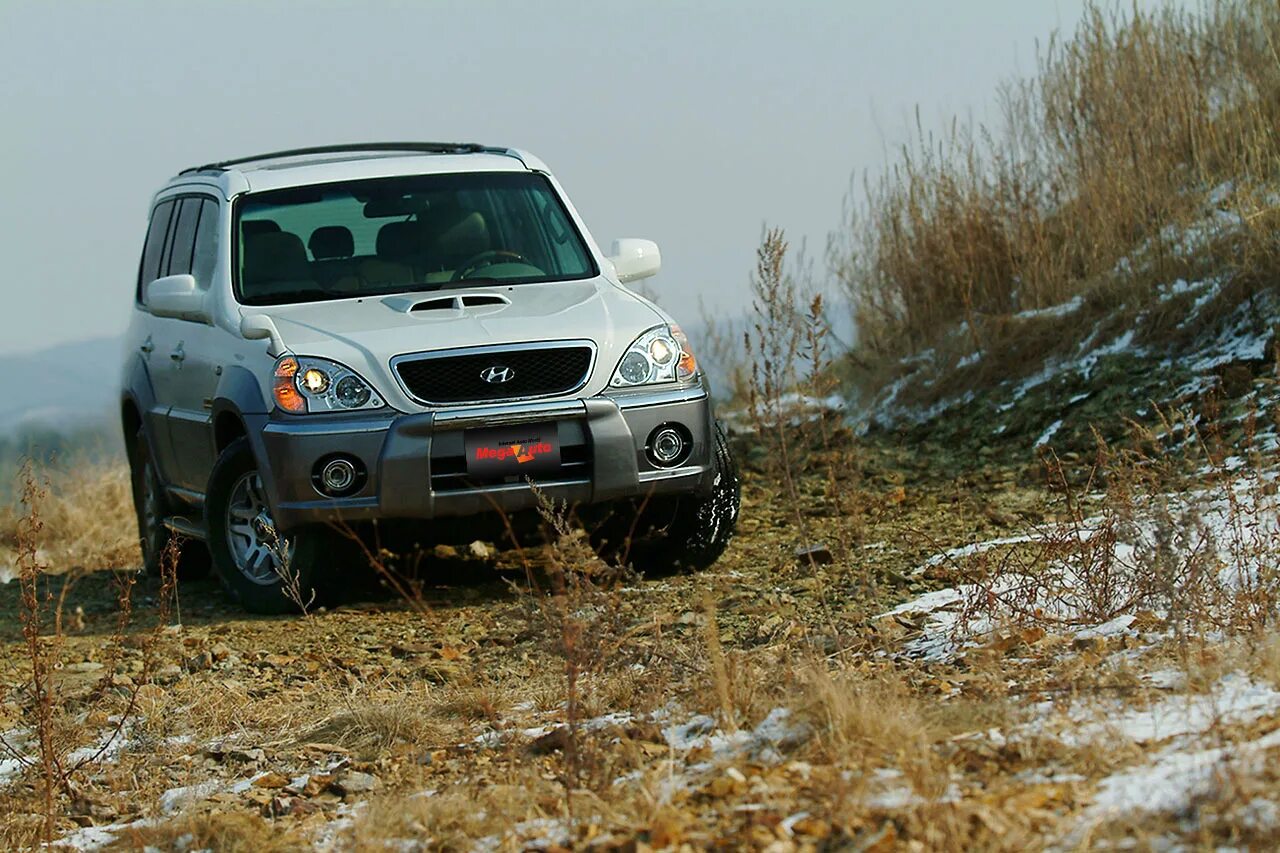 Хёндай терракан 2. Hyundai tarakan. Hyundai terracan 2. Hyundai tarakan. Hyundai terracan 2004.