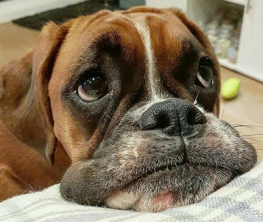 Прикольные мемы для ответов. Смешное трагично. Смешное трагично. Смешное трагично. Смешное трагично.