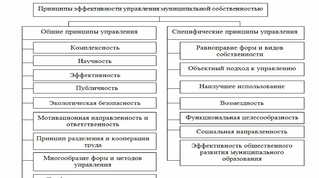 Социально экономические принципы управления