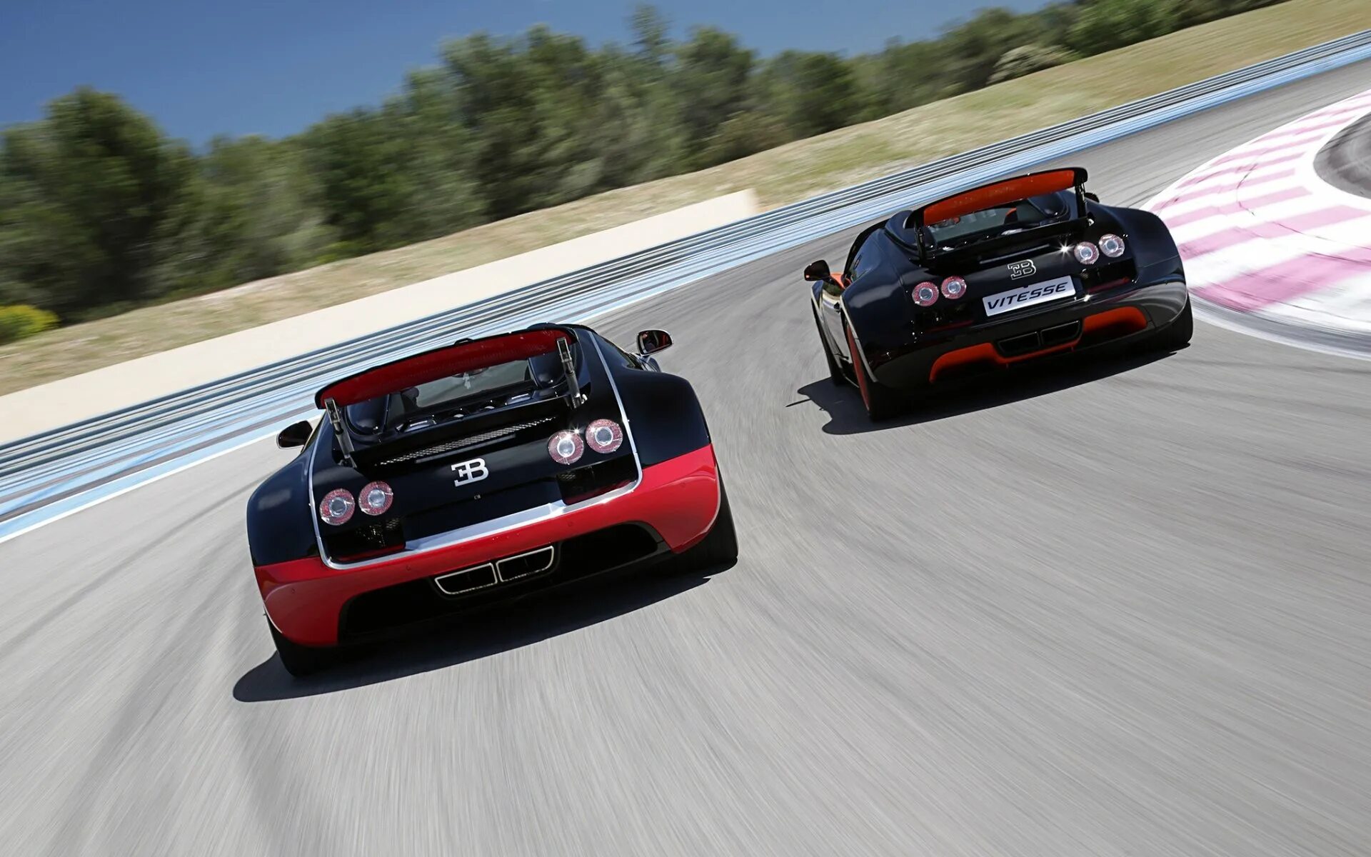 Гонять вид. Гоночная машина Bugatti Veyron. Bugatti Veyron Roadster. Bugatti Veyron Grand Sport Vitesse Шварценеггера. Bugatti Veyron Grand Sport Roadster "Vitesse" "WRC Edition".