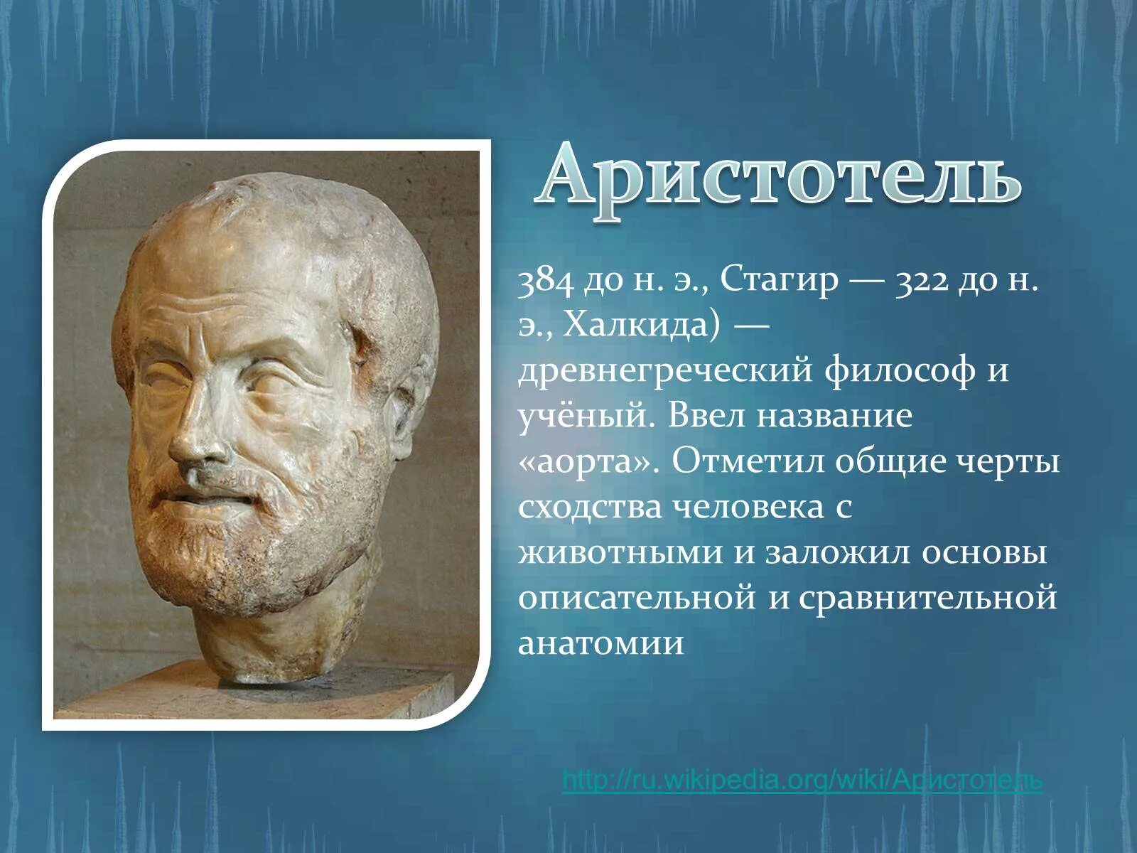 Аристотель (384 г. до н.э. - 322 г. до н.э.). Ученые анатомии. Портрет философа Аристотеля. Древние ученые анатомии.