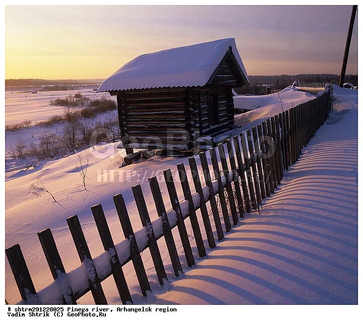 деревня нюхча архангельская. занюхча пинежского района архангельской области. нюхча архангельская область пинежский. кучкас пинежский район. занюхча пинежского района архангельской области.