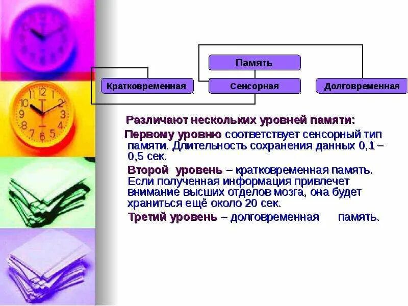 Причины кратковременной памяти. Типы памяти кратковременная долговременная. Сенсорная кратковременная и долговременная память. Сравнение кратковременной и долговременной памяти. Продолжительность кратковременной памяти.