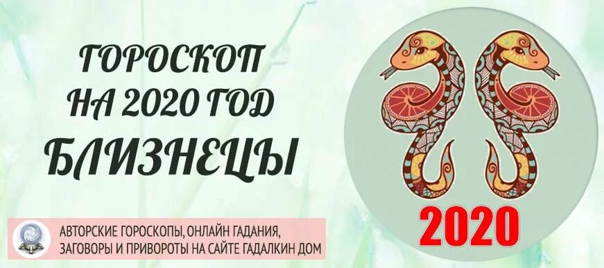 Астропрогноз 2020 Близнецы. Близнецы год 2020. Близнецы в год змеи. Змея Близнецы по гороскопу.