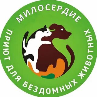 Общества защиты бездомных животных