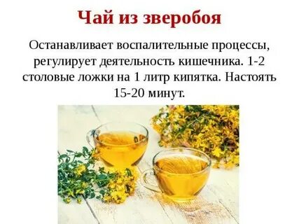 Как заваривать зверобой