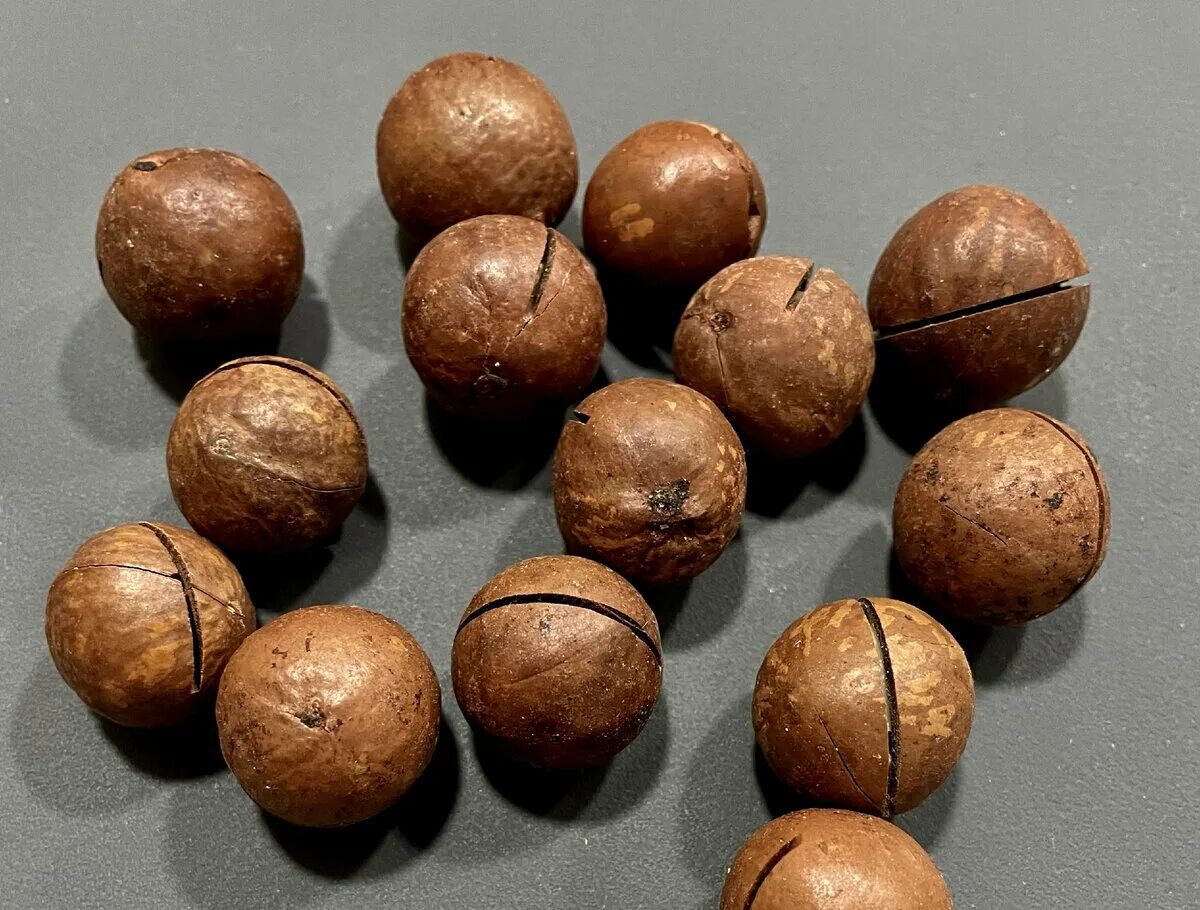 Дорогие орехи макадамия. Шоколадный орех макадамия. Самый дорогой орех в мире макадамия. Макадамии тернифолии.