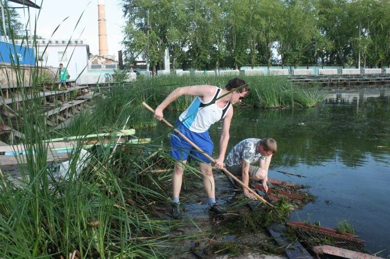 Очистка водоемов. Чистка пруда. Очистить пруд. Чистить водоем