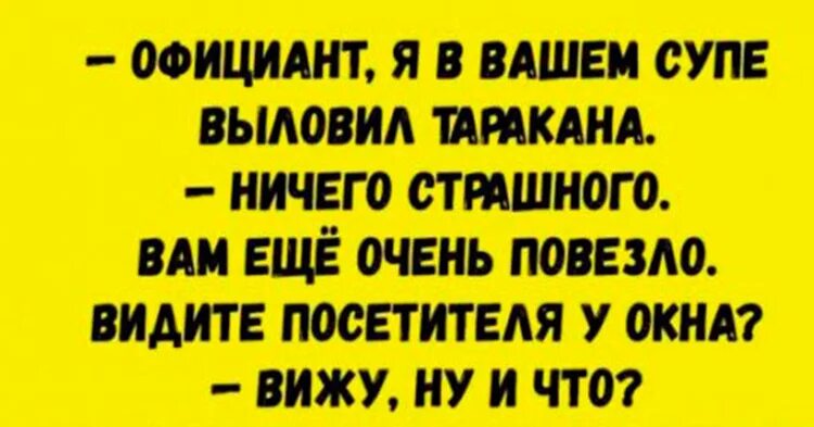 таракан анекдот. таракан анекдот. анекдот про таракана. анекдот про тараканов. анекдот про тараканов.