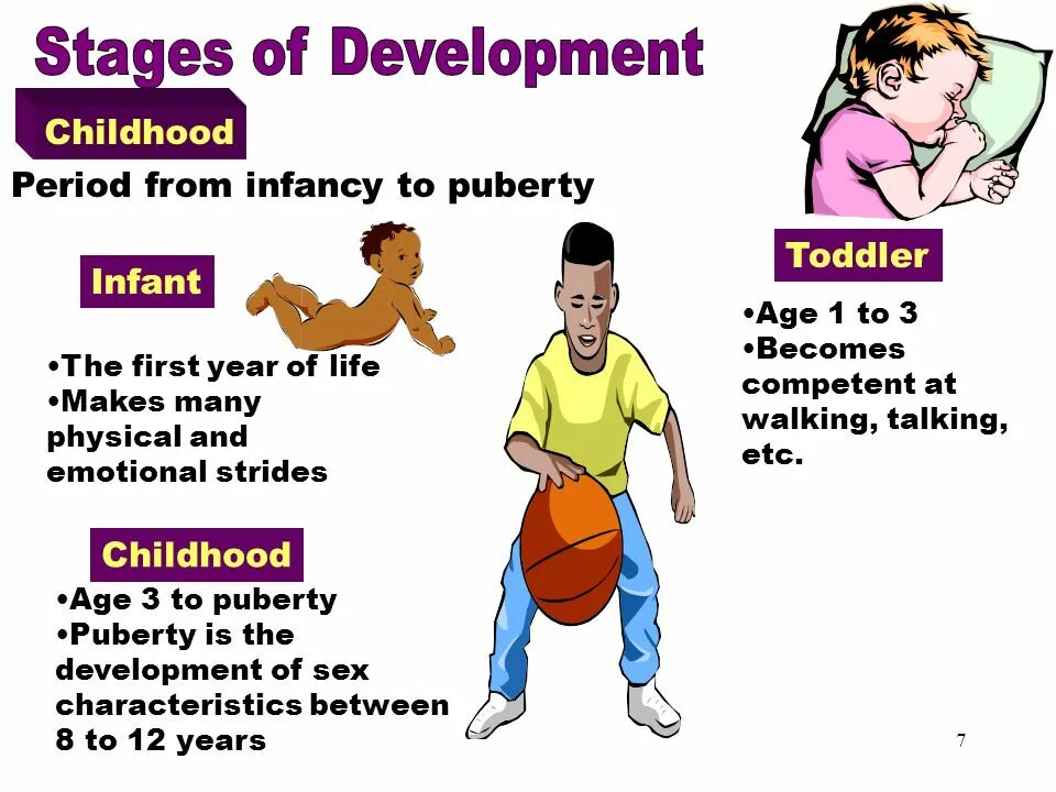 Stages of childhood. Child Development Stages. Stages of Development. Periods of childhood. Age periods