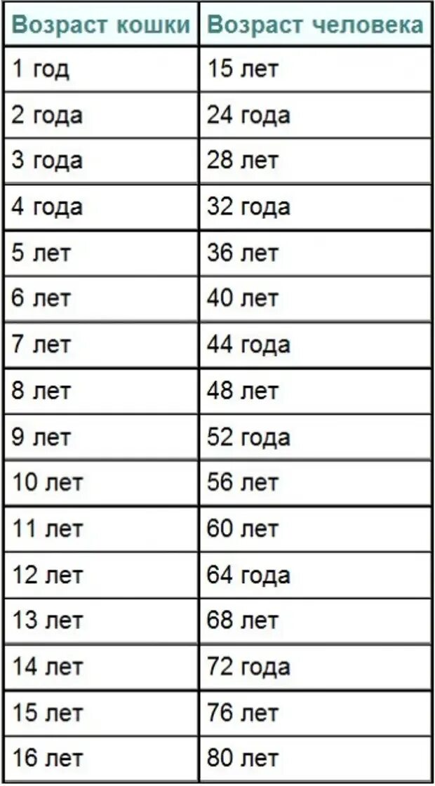 Какого года человек если ему 16