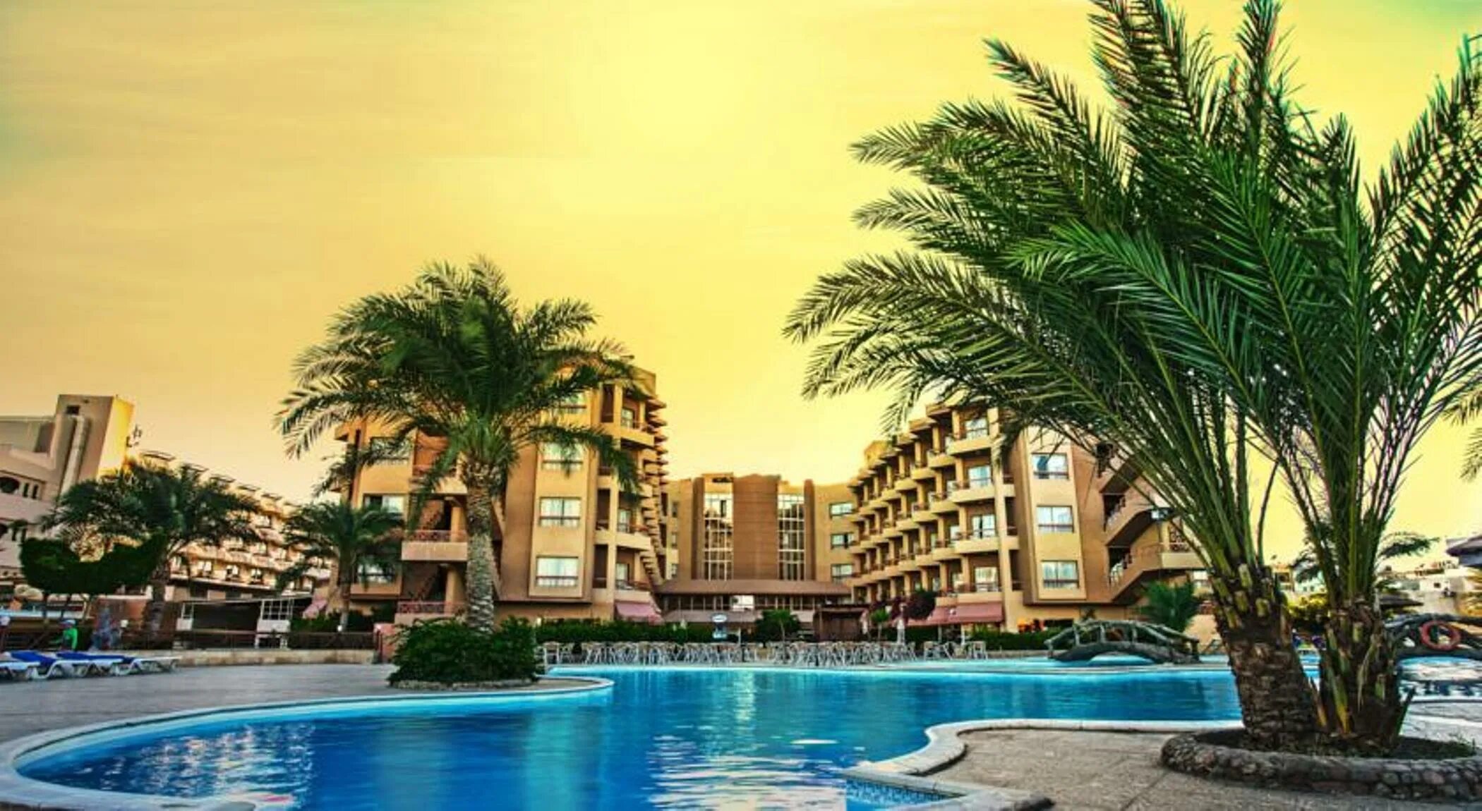 Sea gull resort египет. Отель сигал египет. Hurghada seagull resort y beach 4*, египет, хургада. Отель seagull beach resort 4*. Отель сигал египет хургада.