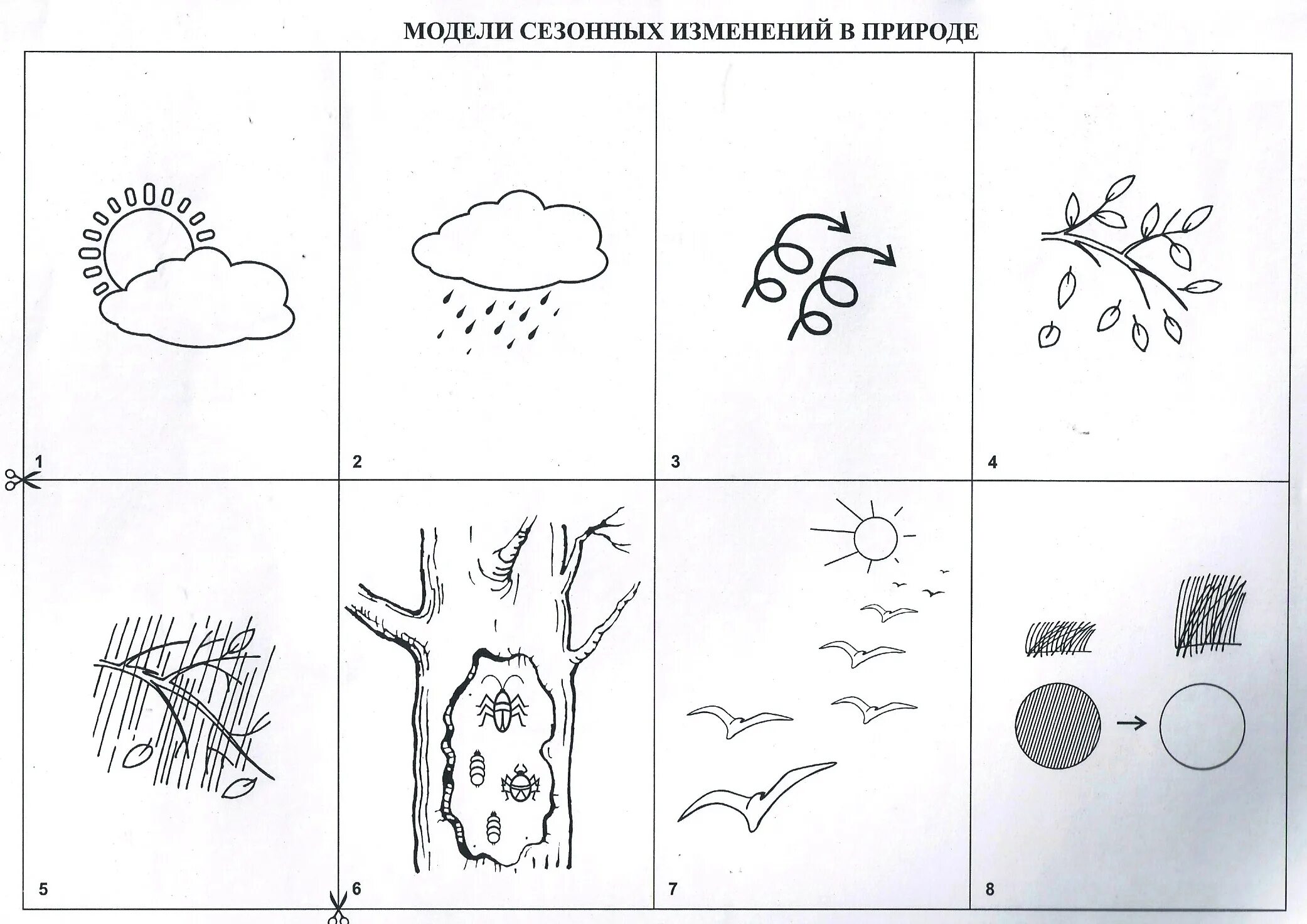 Схема описания осени. Схемы по экологии для дошкольников. Схема осень для дошкольников. Сезонные изменения в природе задание для детей. Графическая модель для детей.