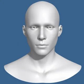 Head 3d modeling