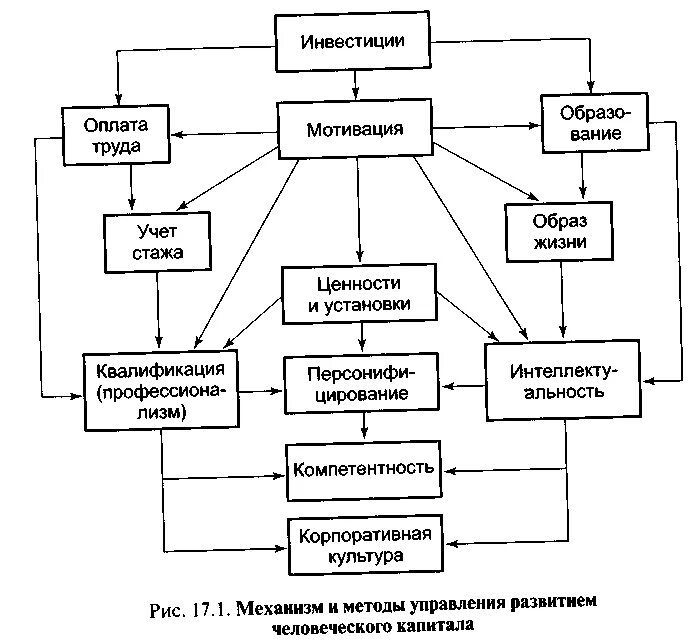 Механизм управления человеческим капиталом. Модель управления человеческим капиталом. Факторы развития человеческого капитала. Управление развитием человеческого капитала.