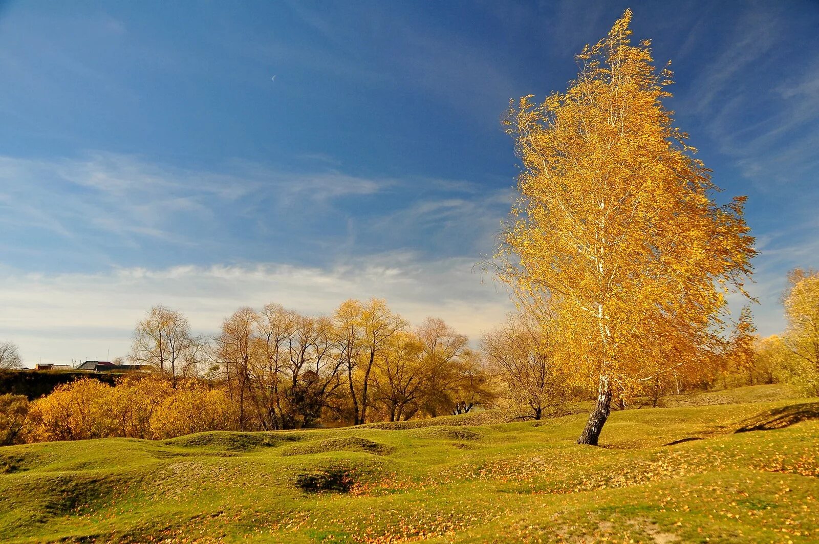 Оренбургская раскрасавица капустин. Золотая осень. Золотой. Осеннее небо. Золотой олень.