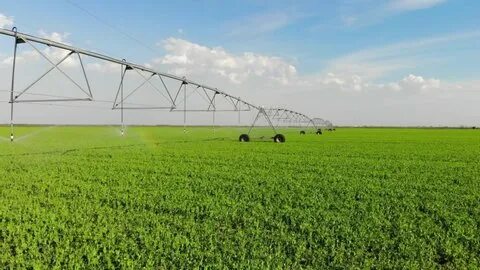Field system