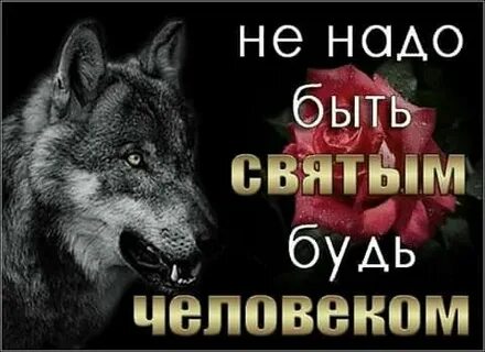 Песня в душу не плюйте