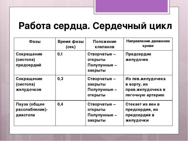 Фазы сердечного цикла таблица 8 класс биология. Биология фазы сердечного цикла таблица. Фазы работы сердца таблица. Таблица сердечный цикл 8 класс биология. Состояние предсердий во время систолы предсердий