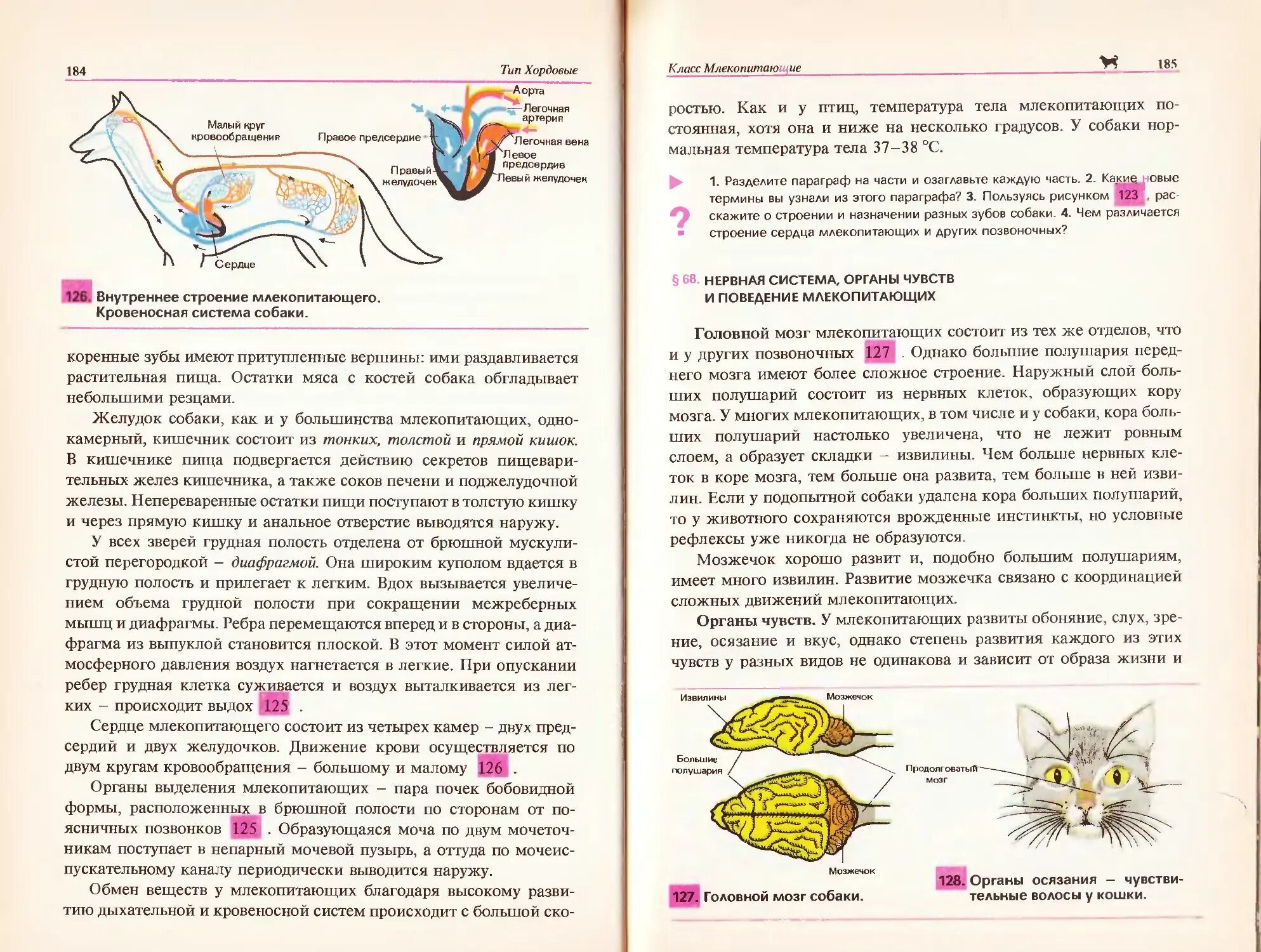 Нервная система и органы чувств млекопитающих. Биология 7-8 класс учебник. Биология Козлова 7-8 класс. Биология 7 класс Козлова. Биология 8 класс Козлов читать.